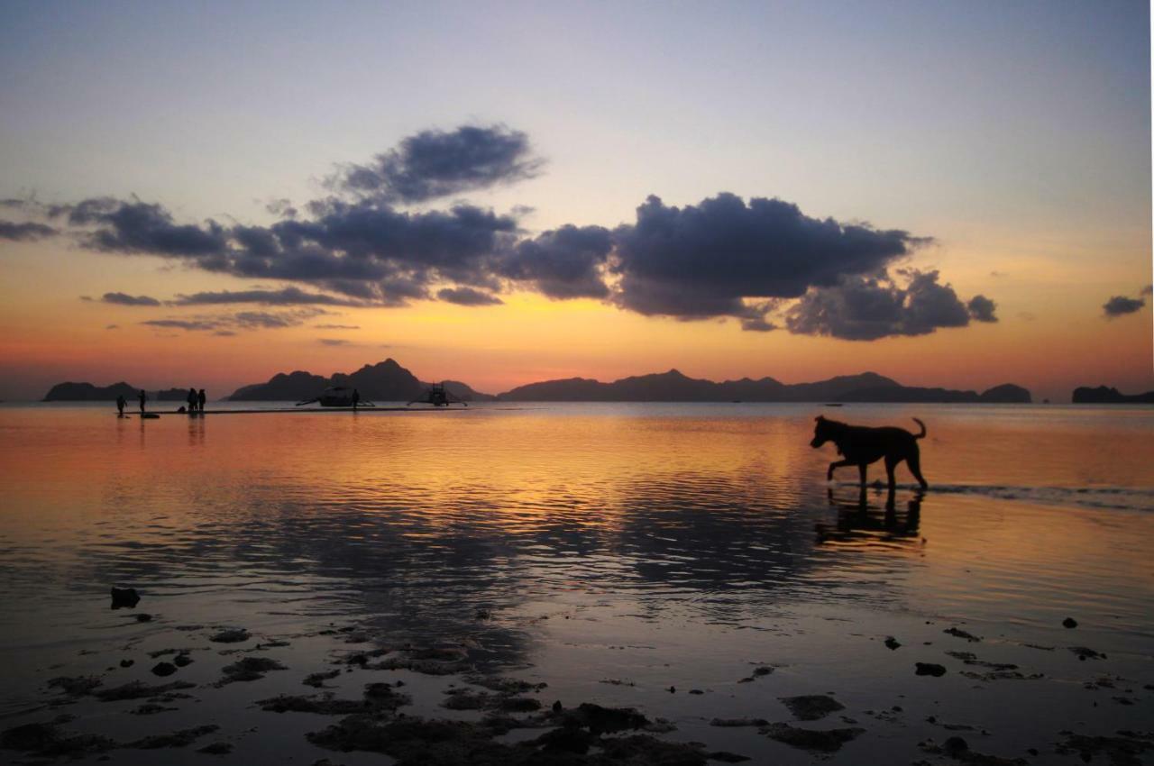 El Nido Royal Palm Inn Kültér fotó
